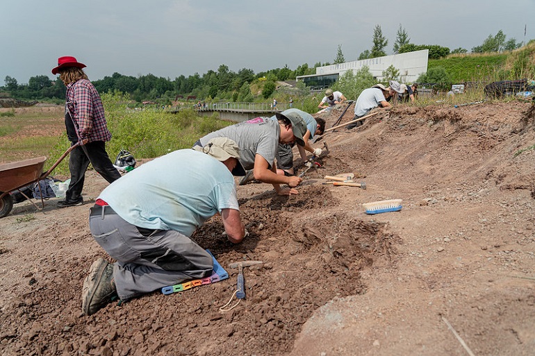 Przeniesienie do informacji o tytule: Nasi paleontolodzy pracują na stanowiskach w Krasiejowie