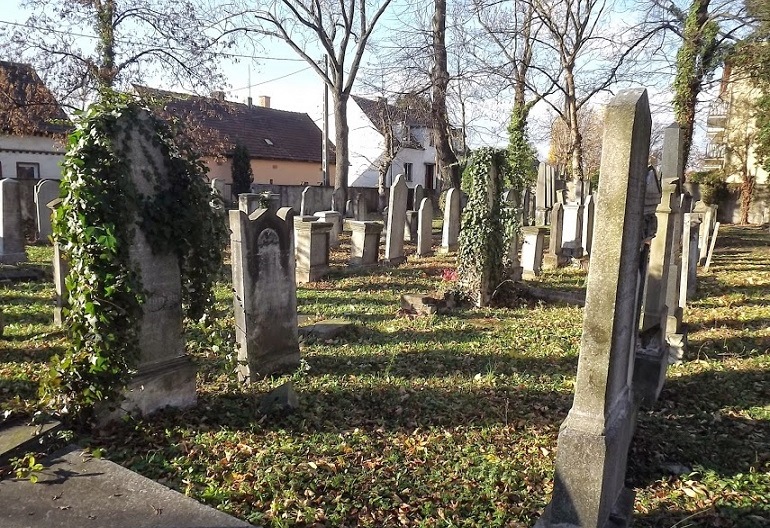 Przeniesienie do informacji o tytule: Promocja książki o opolskim cmentarzu żydowskim